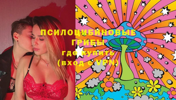 Альфа ПВП Фёдоровский
