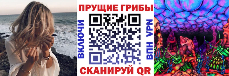 Псилоцибиновые грибы Cubensis  Калуга 